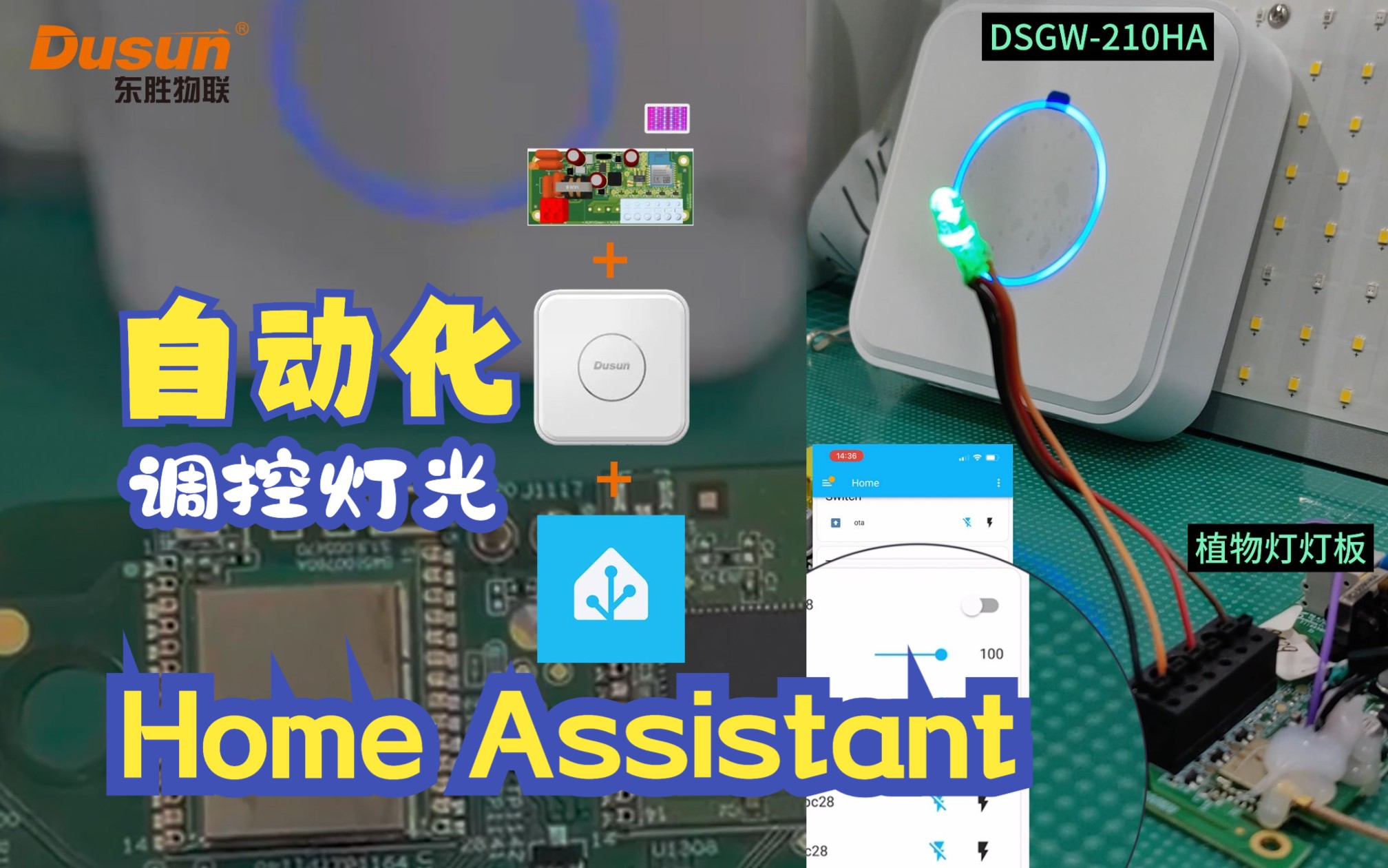 智能家居Home Assistant自动调控家中植物灯,一键关闭开启所有灯光哔哩哔哩bilibili