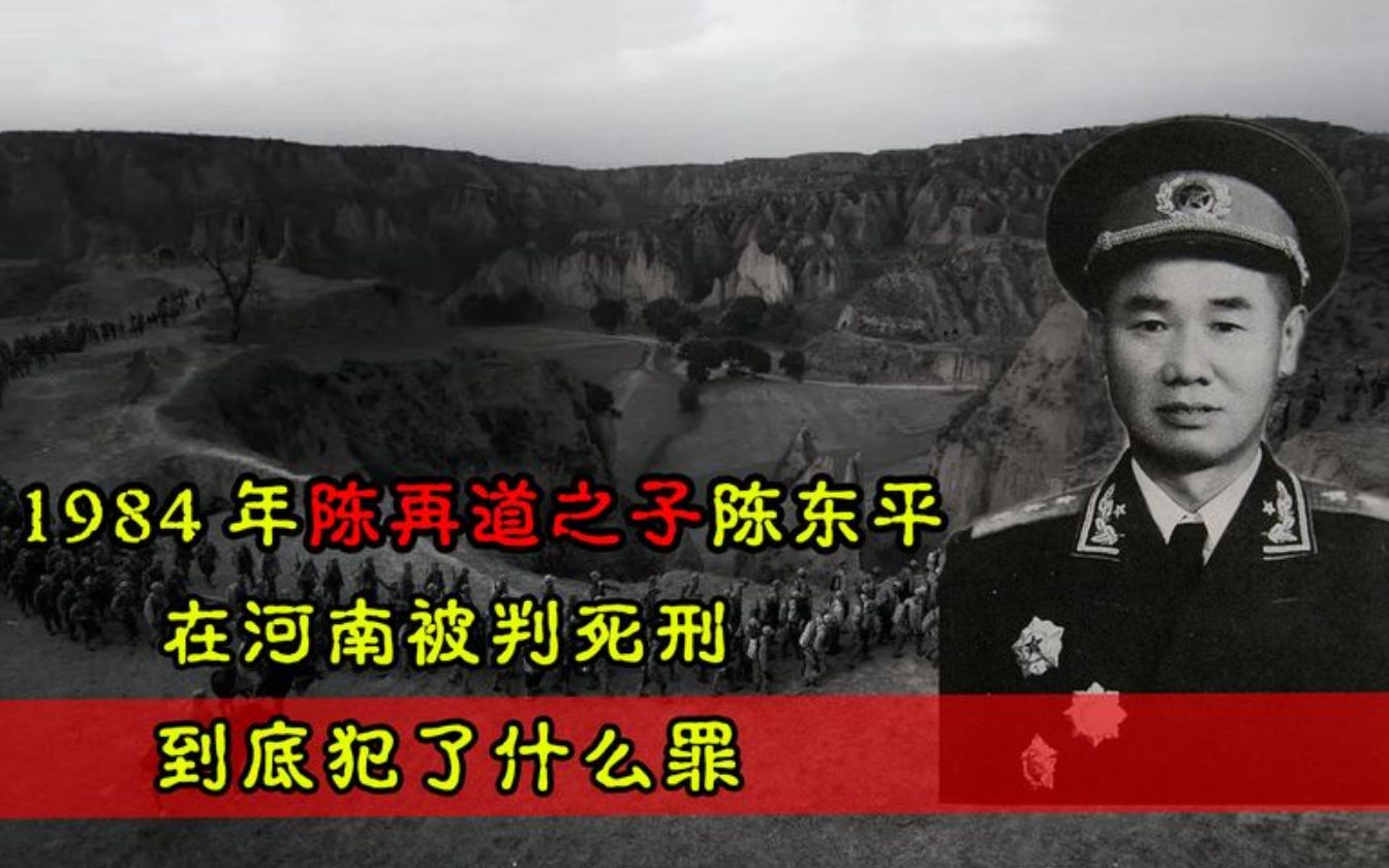 1984年上将陈再道之子陈东平在河南被枪决到底怎么回事