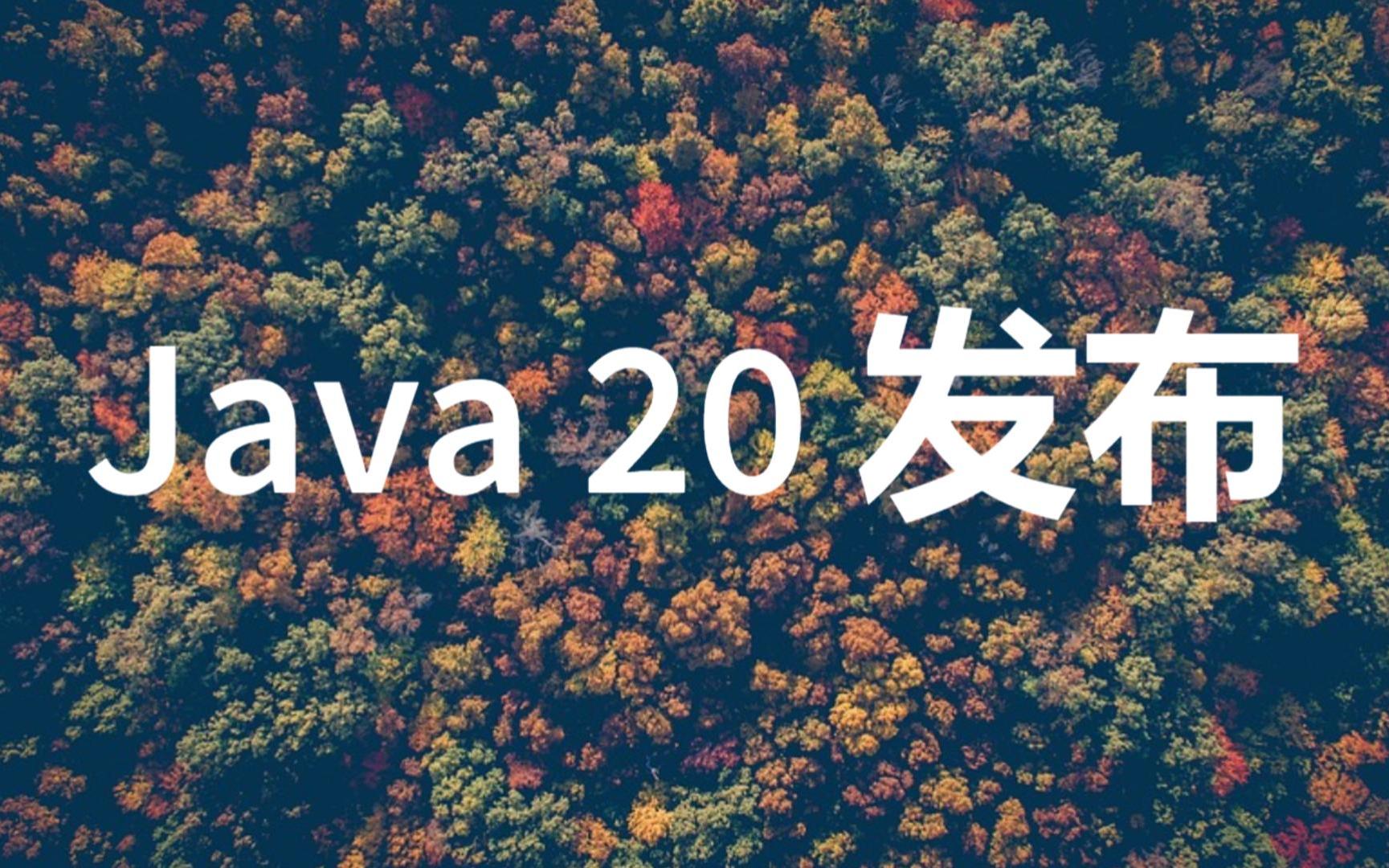 Java 20 正式发布,新特性一览哔哩哔哩bilibili