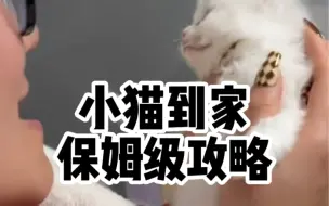 Download Video: 小猫到家保姆级攻略