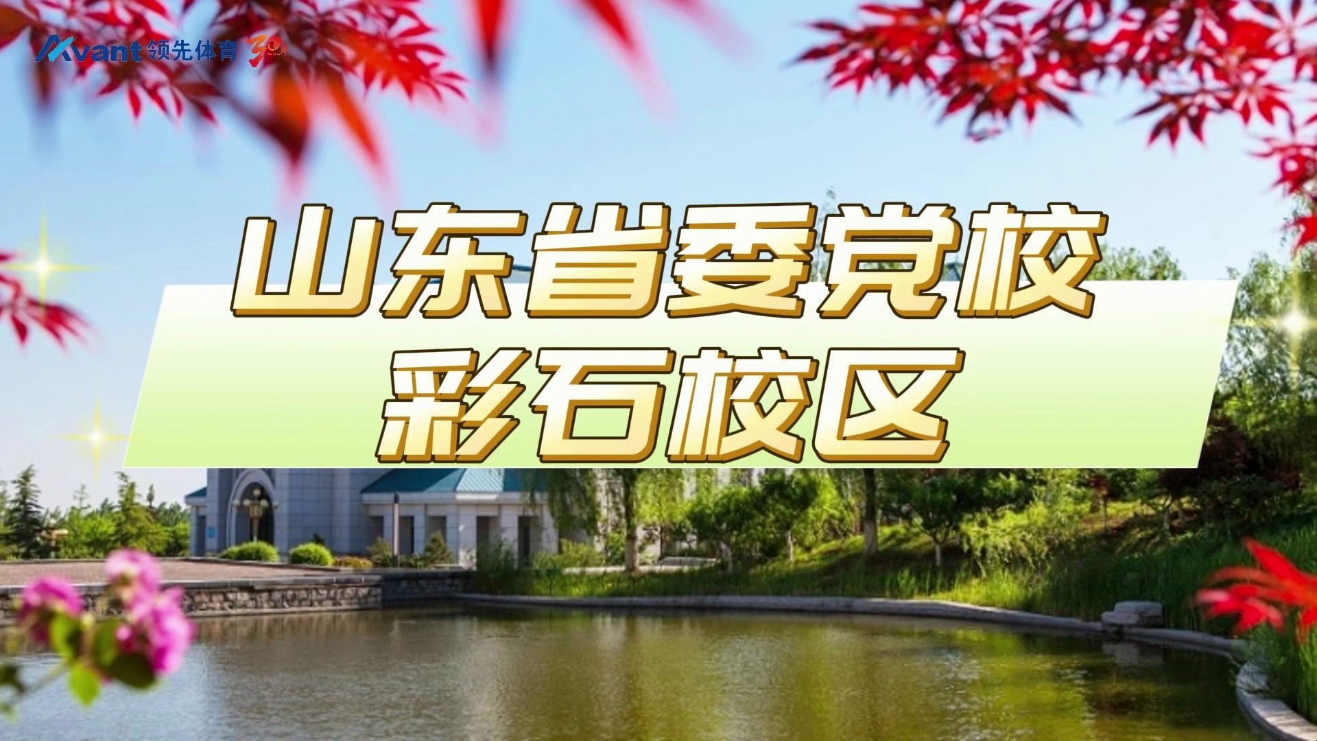 领先体育专业运动木地板助力山东省委党校彩石校区体育馆哔哩哔哩bilibili