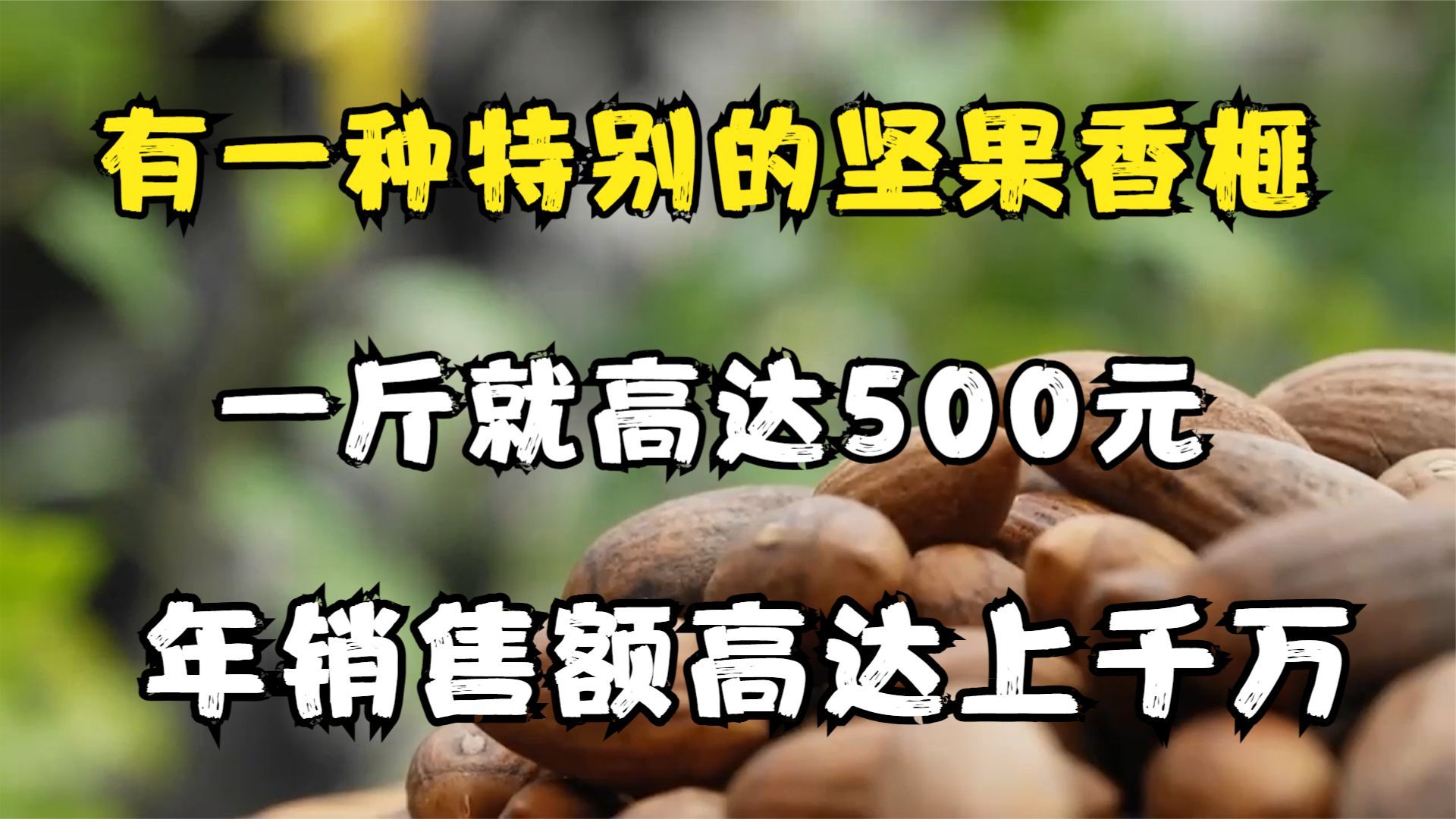 有一种特别的坚果香榧,一斤就高达500元,年销售额高达上千万!哔哩哔哩bilibili