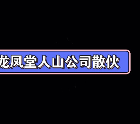 龙凤堂,人山公司散伙哔哩哔哩bilibili