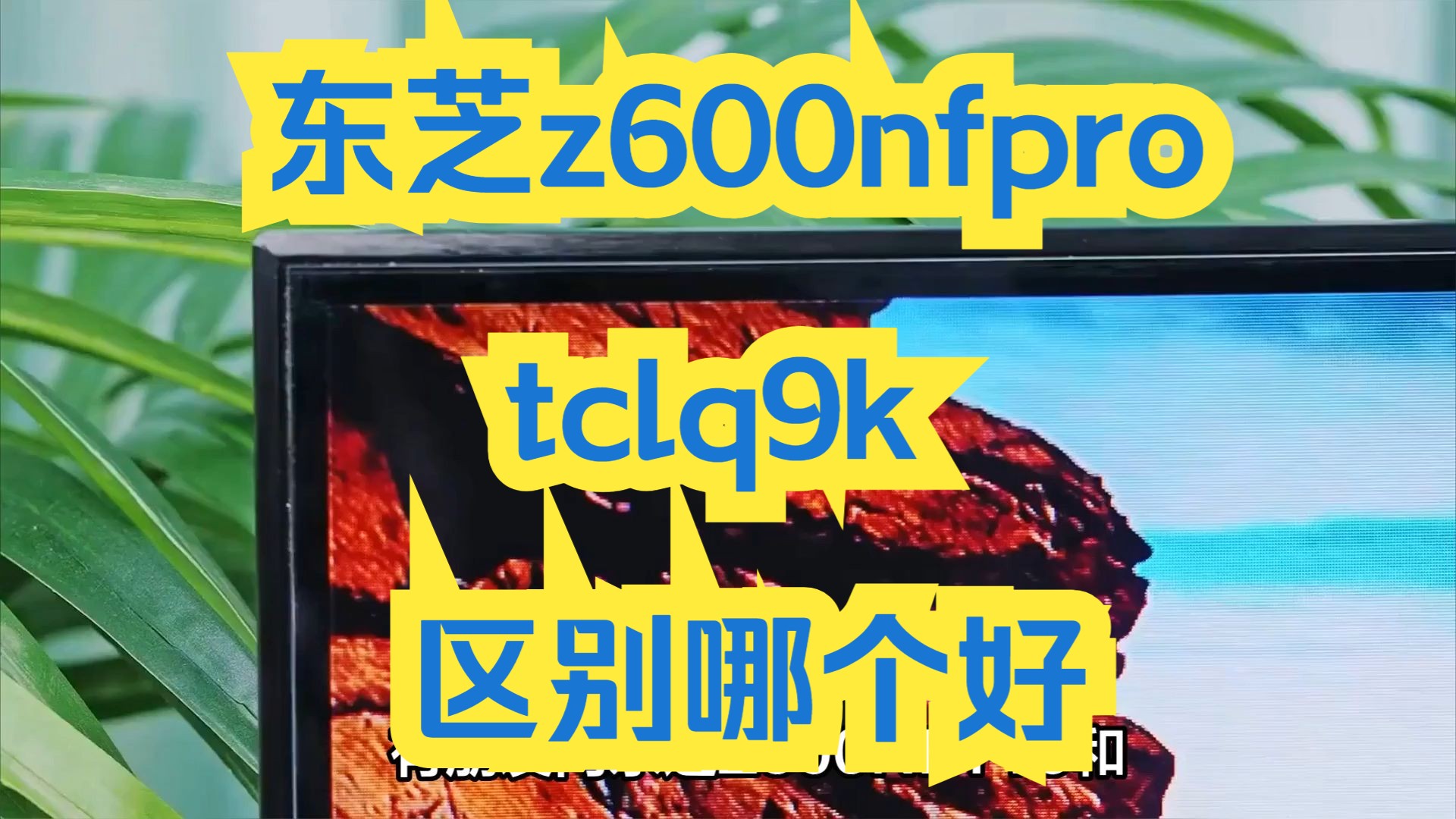 电视东芝z600nfprotclq9k区别测评比较,东芝小芝士600nfpro和tclq9k哪个好?参数评测,如何选哔哩哔哩bilibili