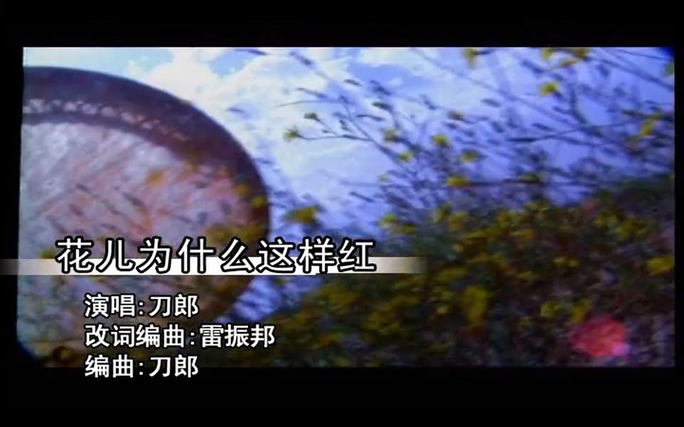 [图]刀郎《 花儿为什么这样红》MV