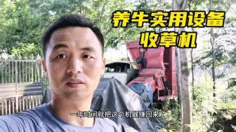 Descargar video: 养牛实用设备分享，青储稻草收割机，机械化收割牧草绝对物超所值