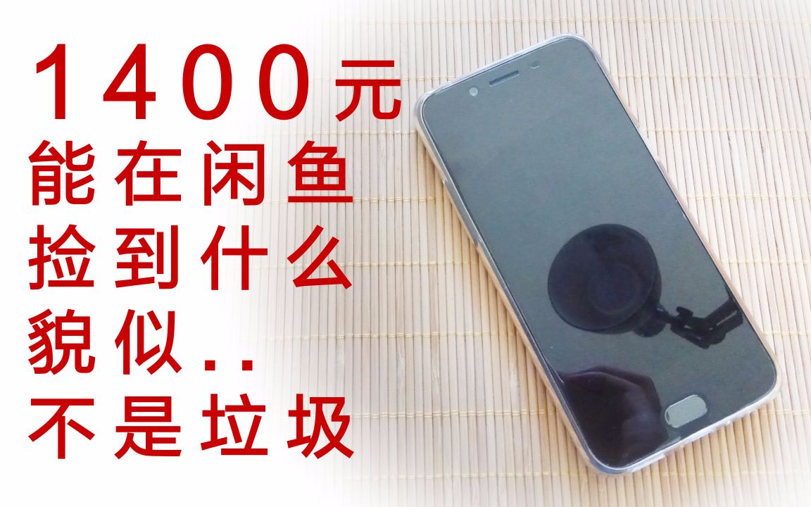 【闲鱼淘宝贝】1400元能淘到什么宝贝?穷逼UP淘的飞起!哔哩哔哩bilibili