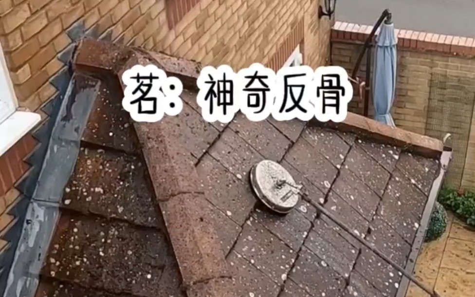 [图]神奇反骨