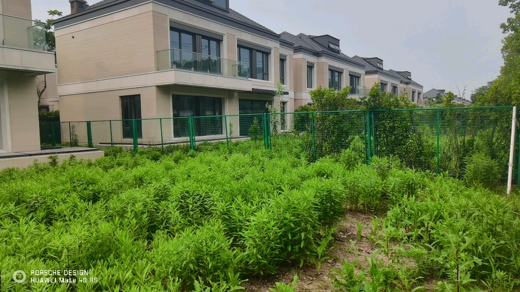 编号254#大虹桥赵巷国际别墅区网红别墅金臣颐墅485平户型大花园.