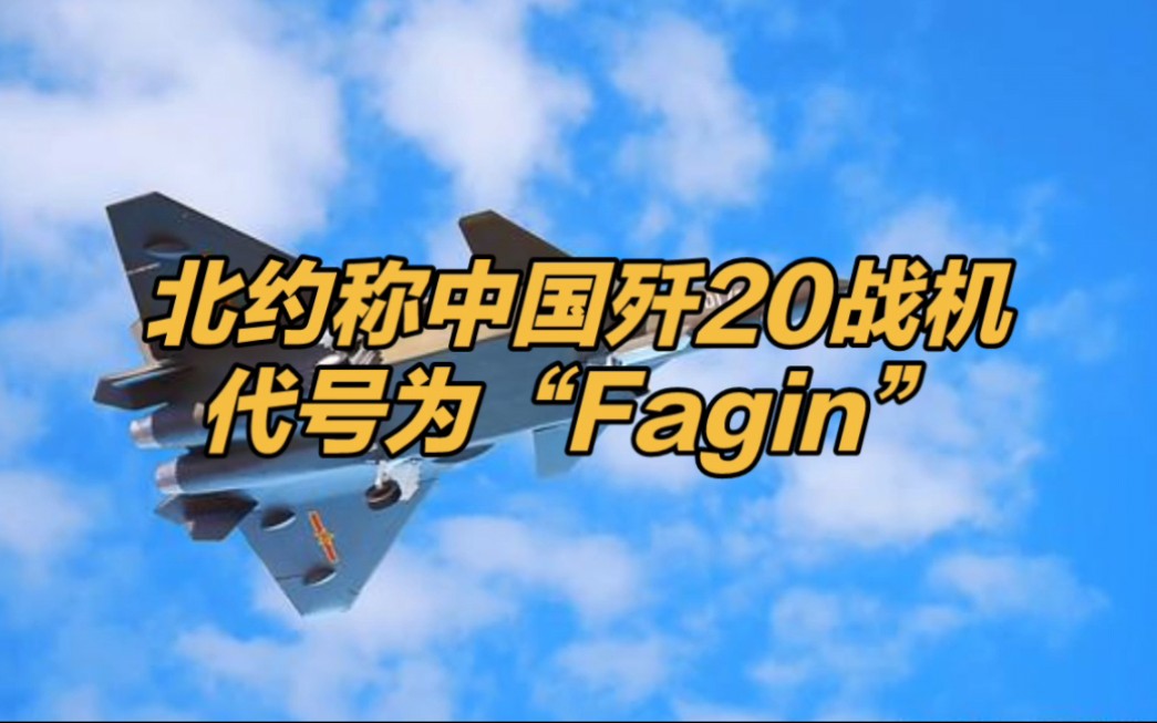 中国战斗机代号图片