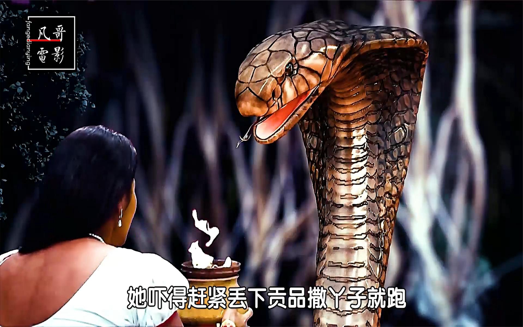 一群眼镜蛇一字排开等着被喂食,娜迦宝石的争夺之战