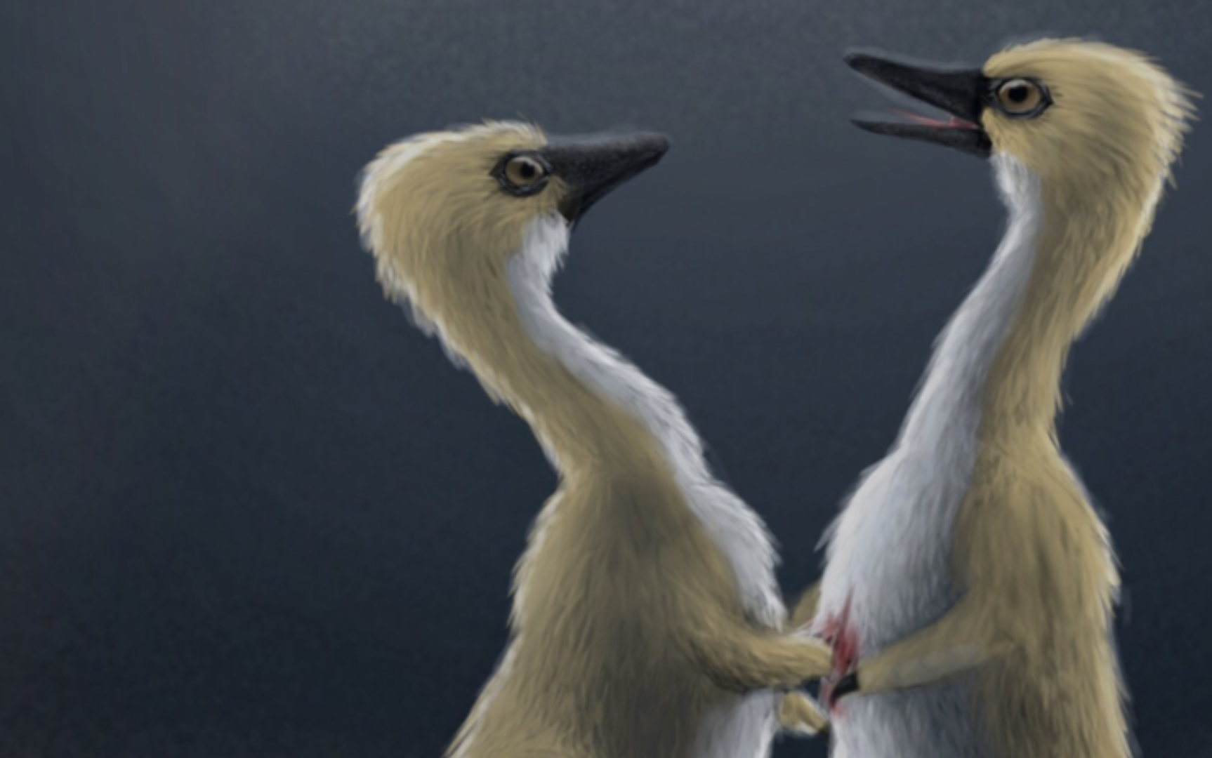 【低创指绘】鸟面龙:冷月映射寒色沙,鸟面踏沙破敌膛