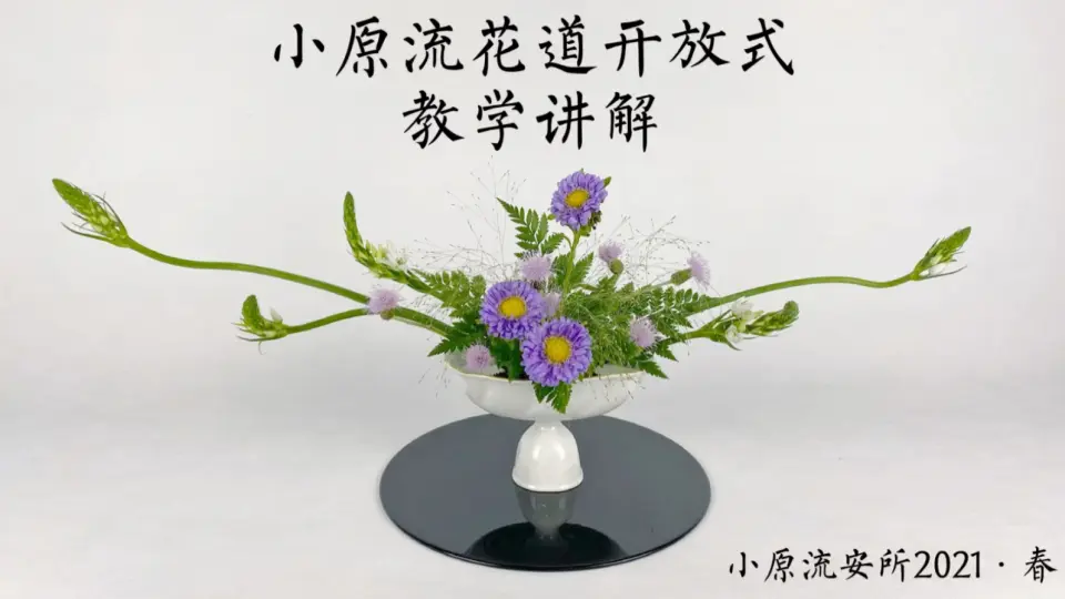 日本小原流花道盛花观水型_哔哩哔哩_bilibili