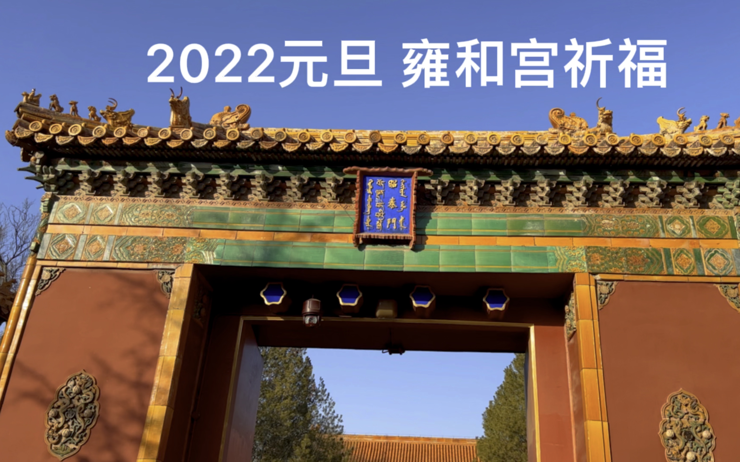 雍和宫2022图片