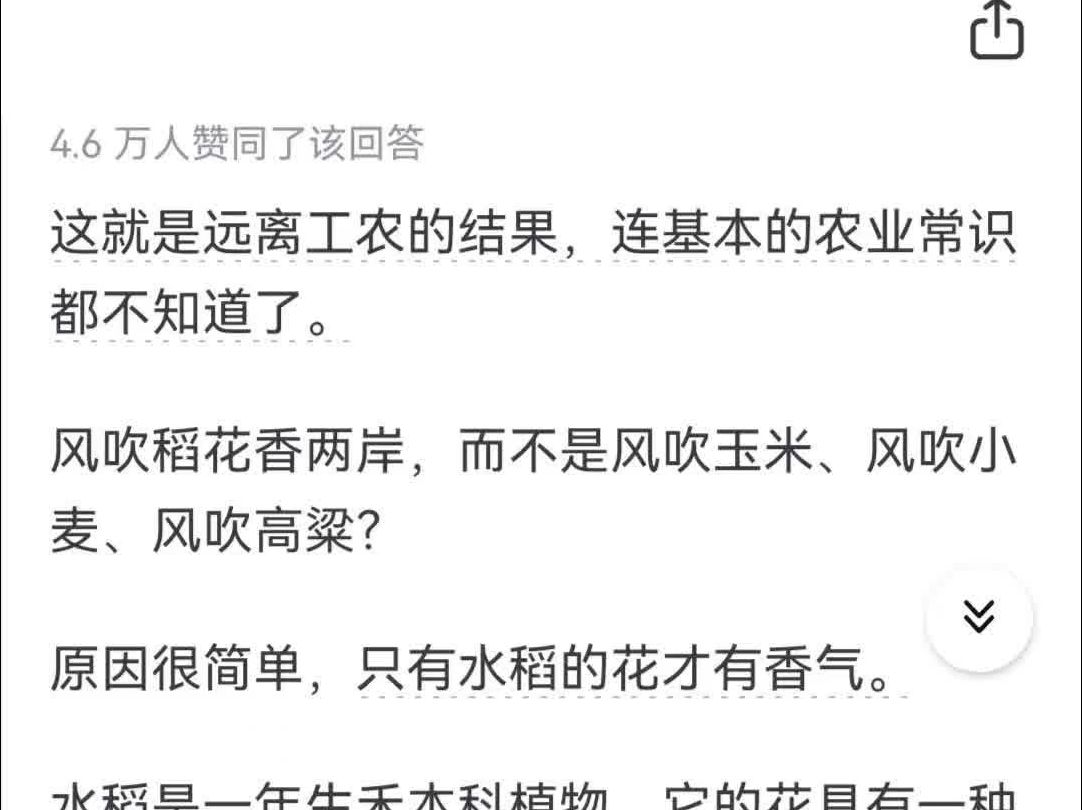 为什么《我的祖国》第二句是 风吹稻花香两岸,而不是风吹玉米、风吹小麦、风吹高粱?哔哩哔哩bilibili