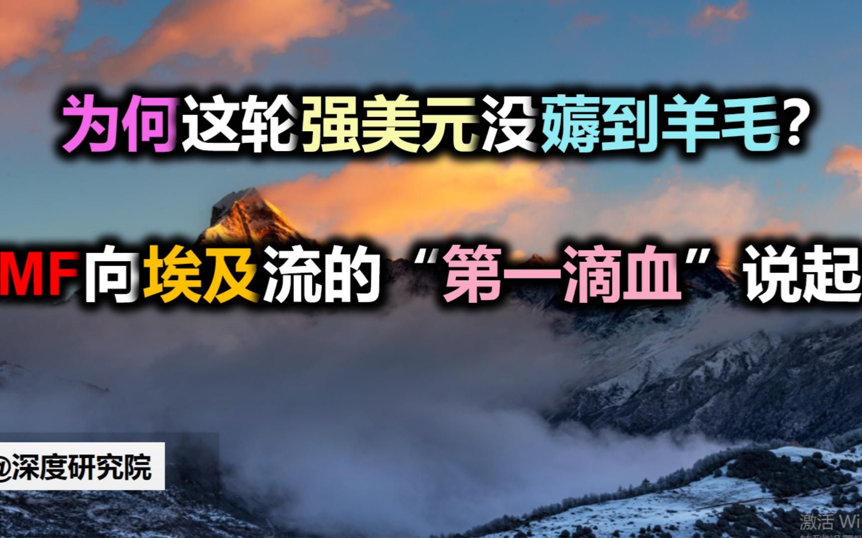 为何这轮强美元没薅到羊毛?从IMF向埃及流的“第一滴血”说起哔哩哔哩bilibili