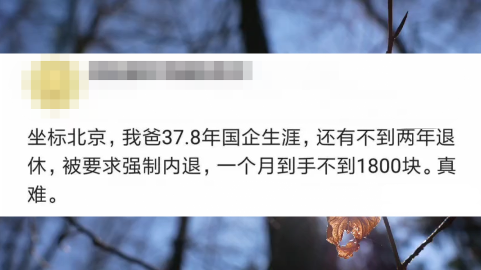 37.8年的国企生涯,被要求强制内退,退休后到手不足1800哔哩哔哩bilibili