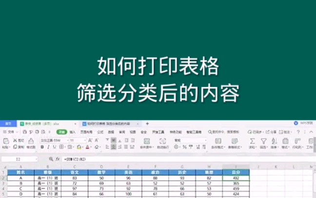 如何打印表格筛选分类后的内容, Office Excel电子表格哔哩哔哩bilibili