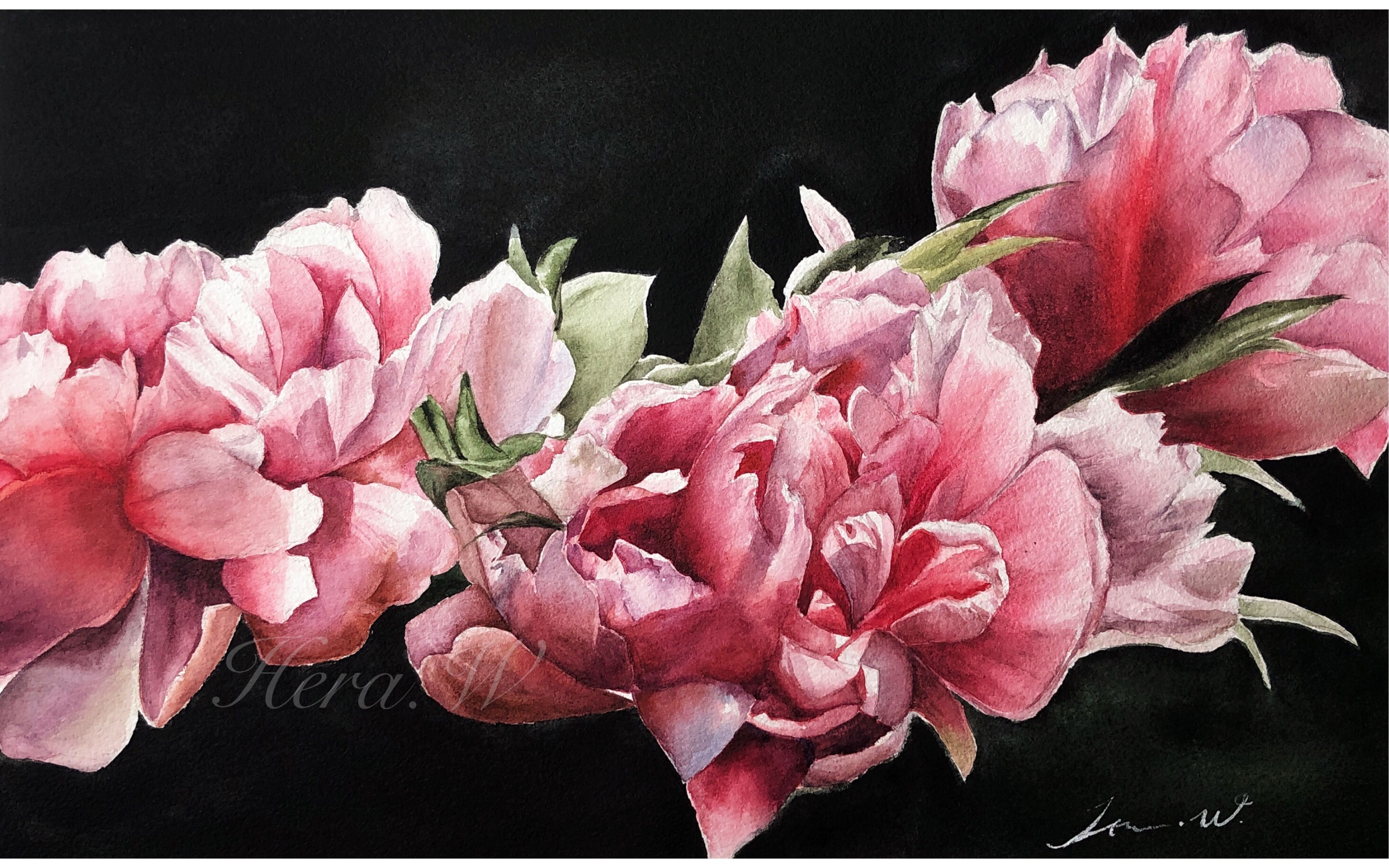 水彩花卉唠叨版本又来辽我们一起来画写实牡丹