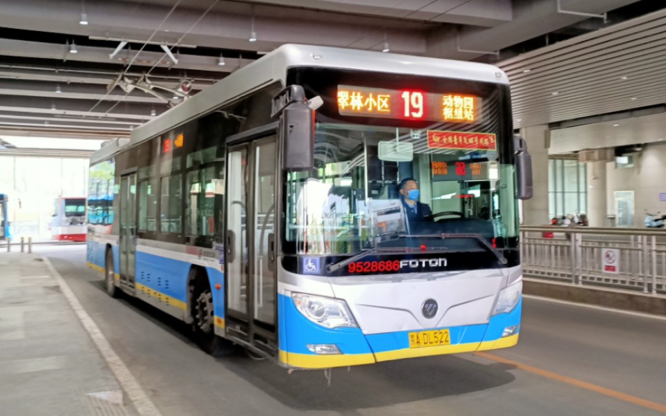 【北京公交pov-34】北京公交19路老报站翠林小区–动物园枢纽站全程原