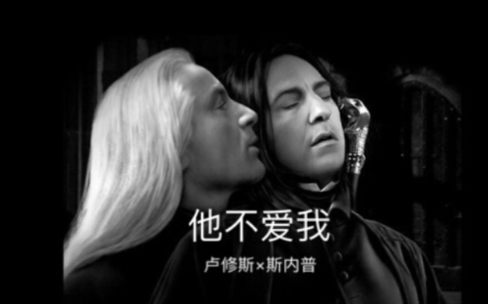 【卢修斯x斯内普】lmss他不爱我 他赢走了我的心