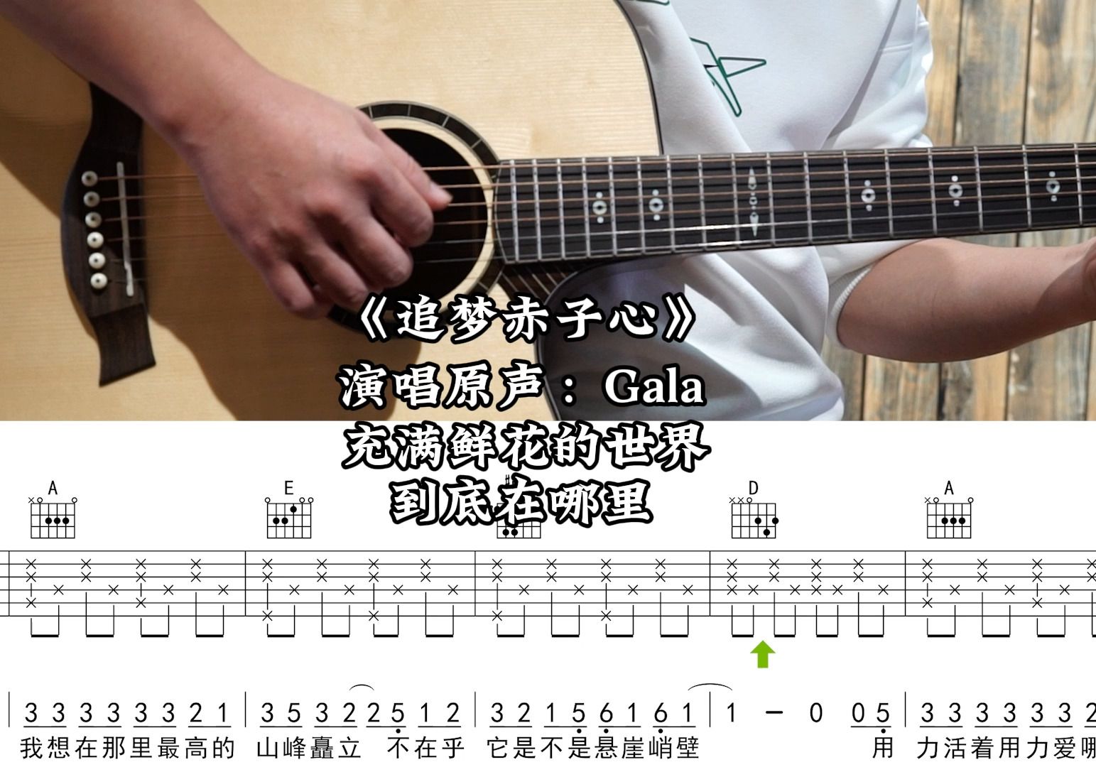 【第501集】追梦赤子心  演唱原声:Gala 吉他弹唱示范,动态吉他谱哔哩哔哩bilibili