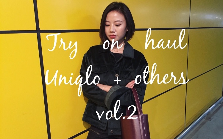 [图]Fall try on haul vol.2 I 秋冬服饰购物穿搭分享 UNIQLO U+YUZEFI相机包+BELLENISTA