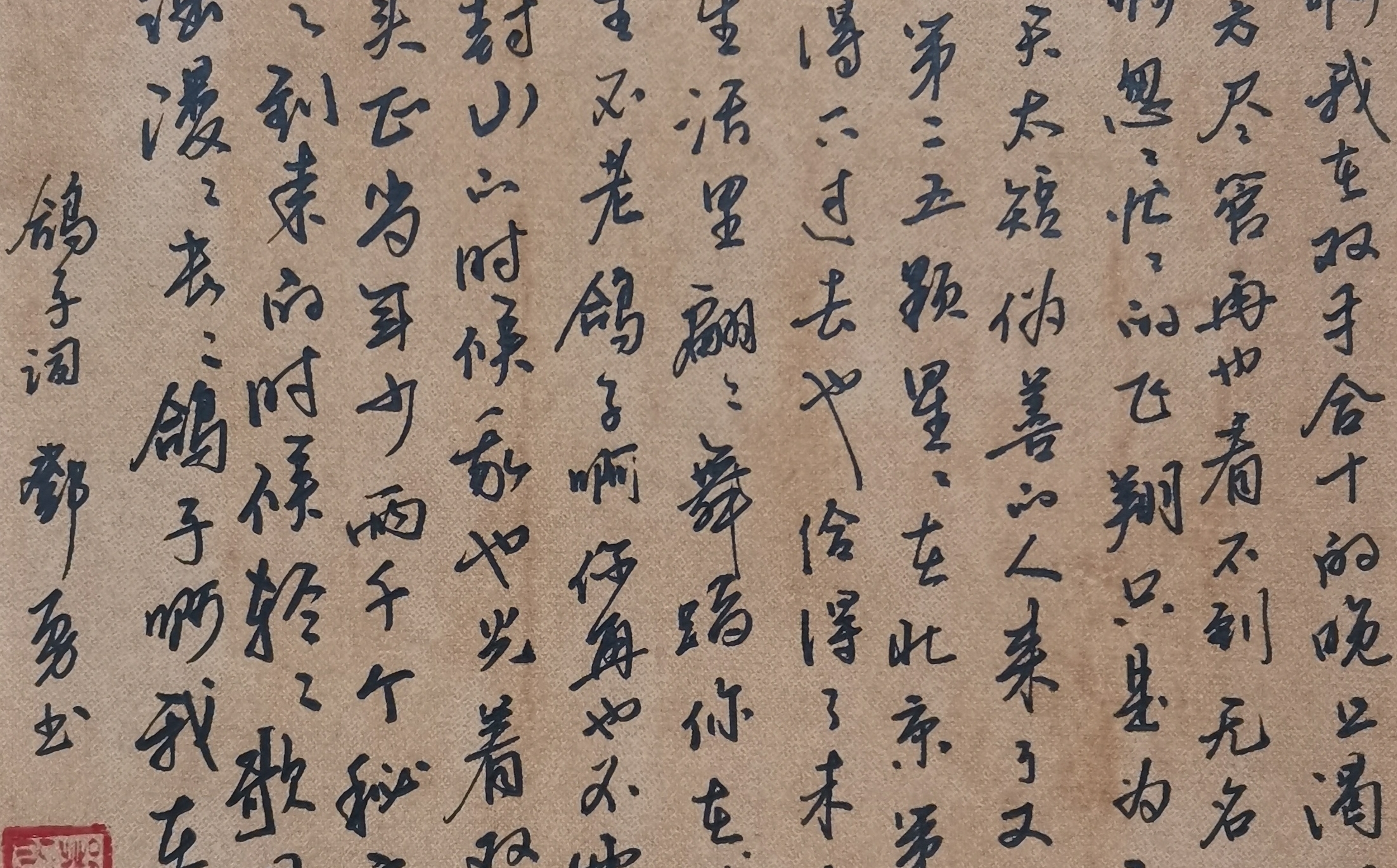 【硬笔书法】宋冬野《鸽子》歌词手写