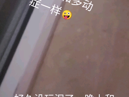 回归,玩泥,玩假水,工厂泥,工厂假水,碎碎冰哔哩哔哩bilibili