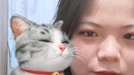 [图]沉 浸 式 虚 拟 撸 猫