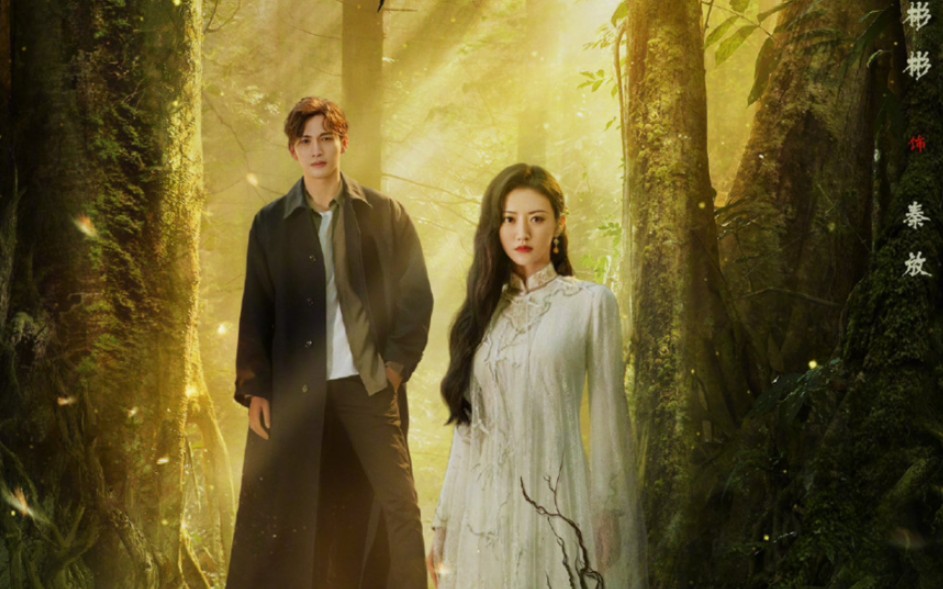 《司藤》泰版预告