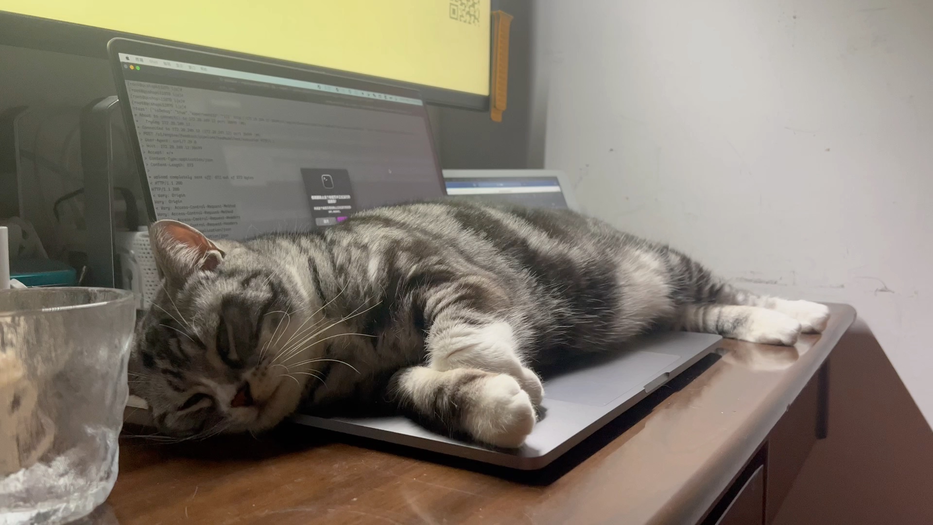 拥有一只会敲木鱼的小尼姑会是什么体验?@美短_哔哩哔哩_bilibili