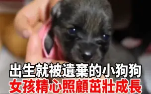 Download Video: 出生就被遗弃的狗狗今天已经12天了，女孩精心照顾狗狗茁壮成长！