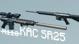 Скачать видео: ［TacZ枪包］KAC SR25