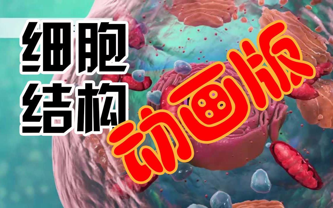 [图]【科普】生物细胞结构简介英文动画版中文字幕高中学习视频国外教育科学资料