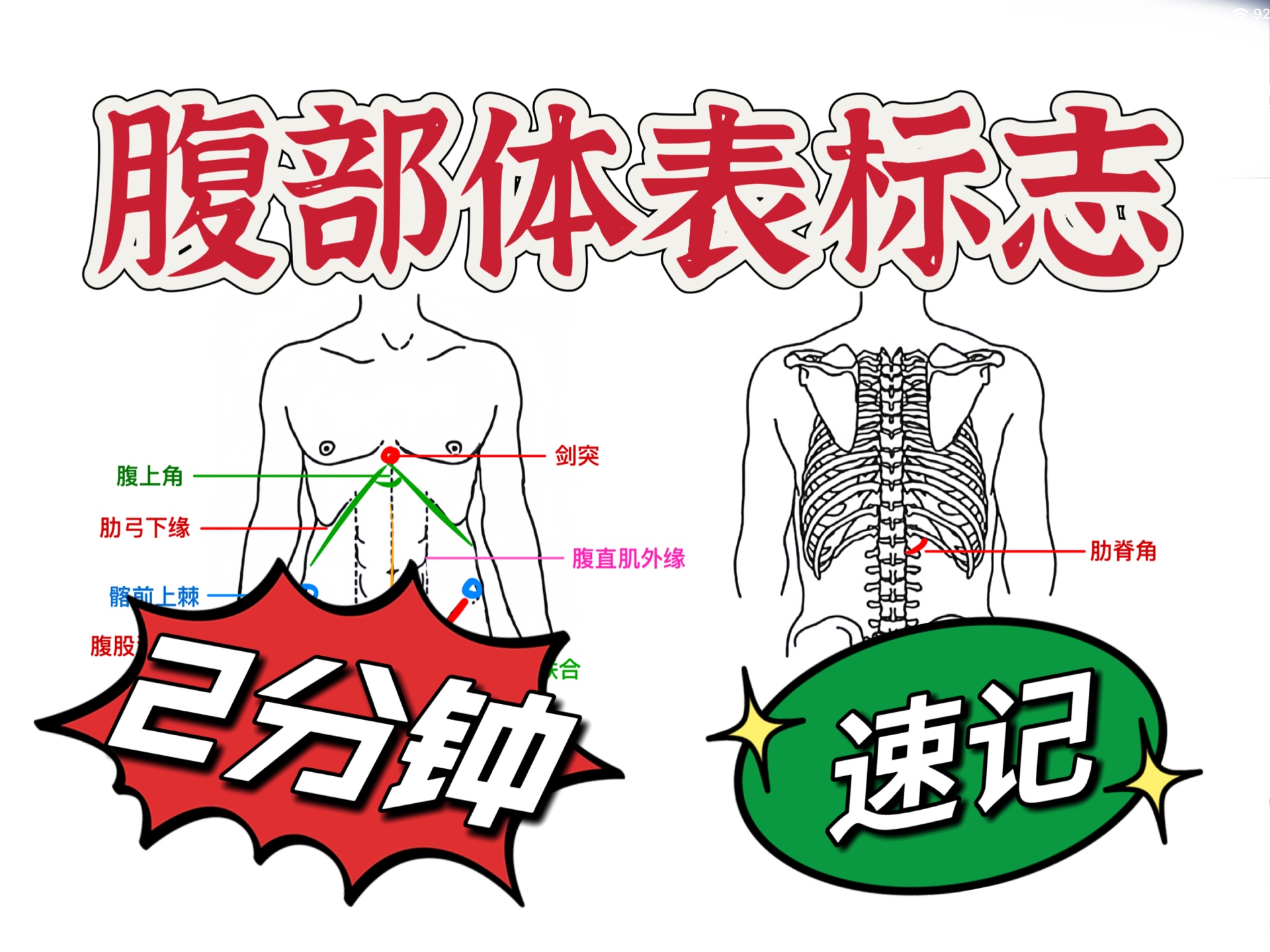 【体格检查】2分钟记住ⷨ…𙩃讐Š体表标志(执医/规培/结业考/体格检查)哔哩哔哩bilibili