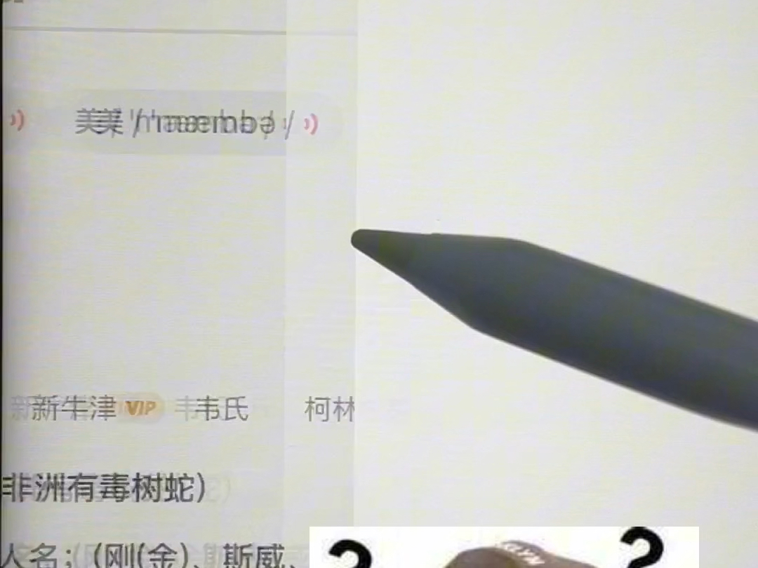 全球发音最后一遍的mamba读什么??不确定再听听哔哩哔哩bilibili