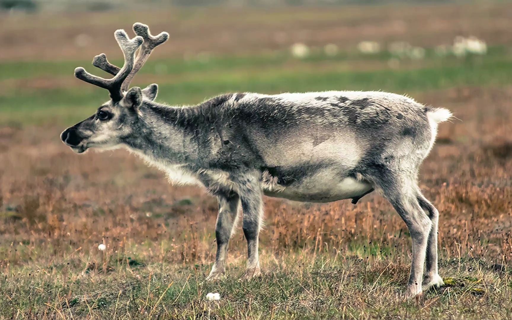 a用好买点穿越牛熊
