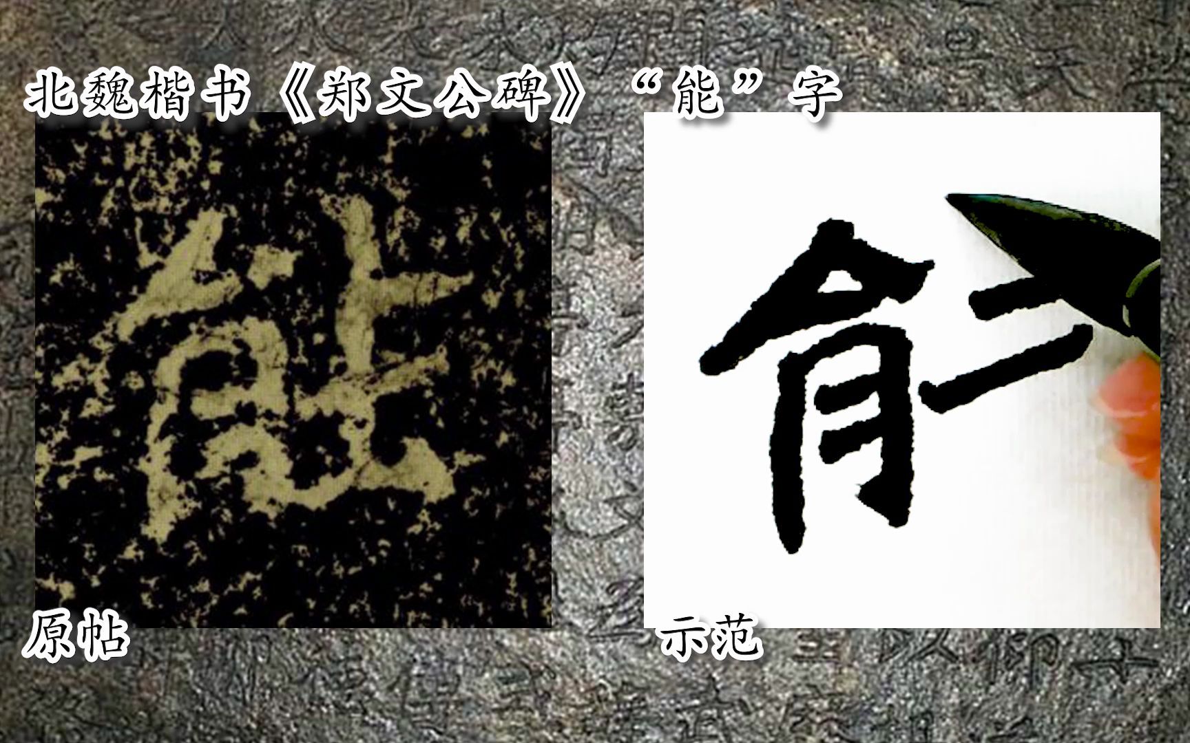 [图]【每日一字】书法视频，周东芬临北魏楷书《郑文公碑》“能”字