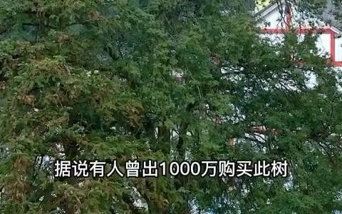 贵州一村寨发现天然泉水哔哩哔哩bilibili