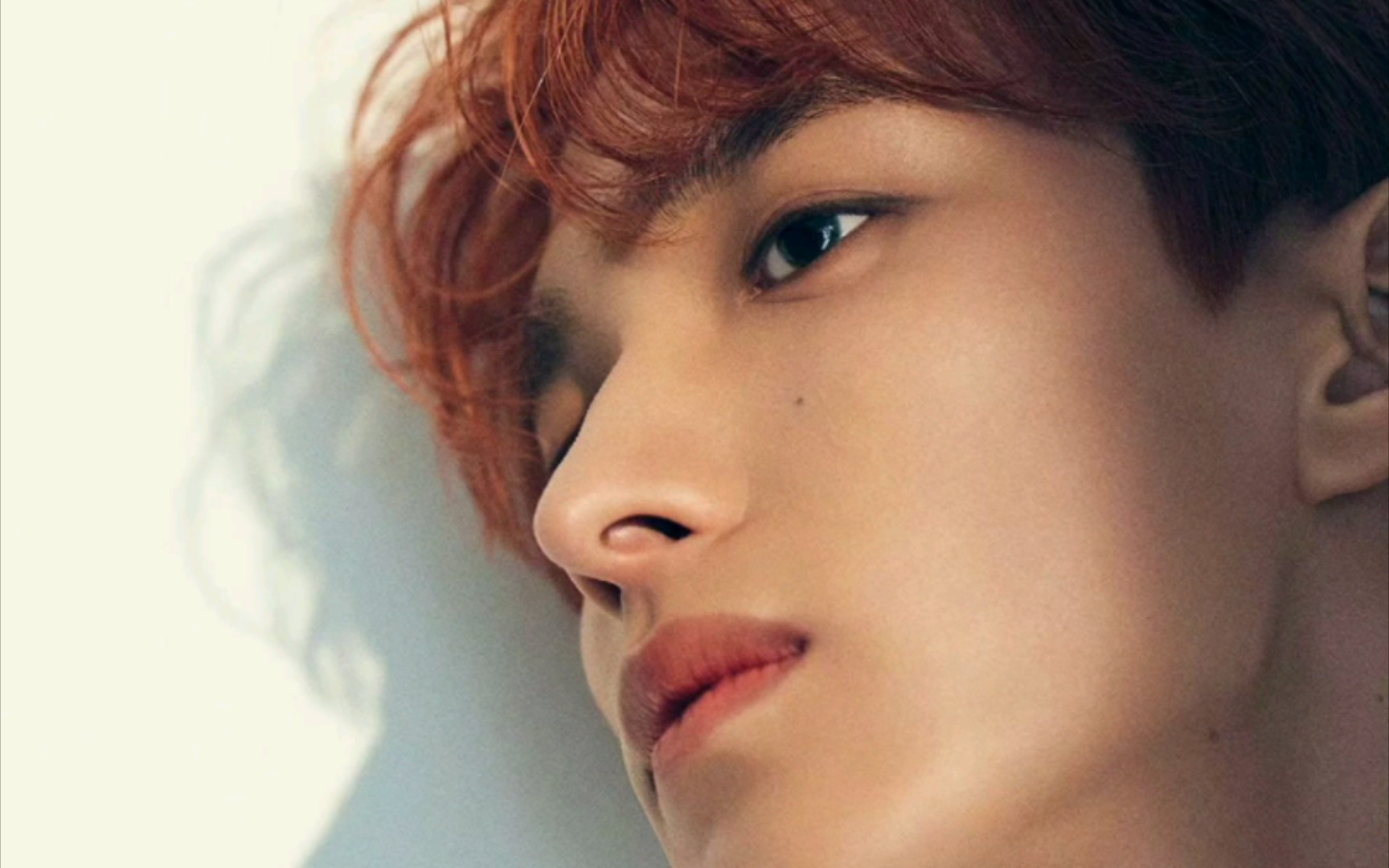 [seventeen|李硕珉dk] 李硕珉请多拍杂志!