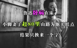 下载视频: 鲁迅卧病在床，小脚妻子赶80里山路为他买糕点，结果只换来一个字