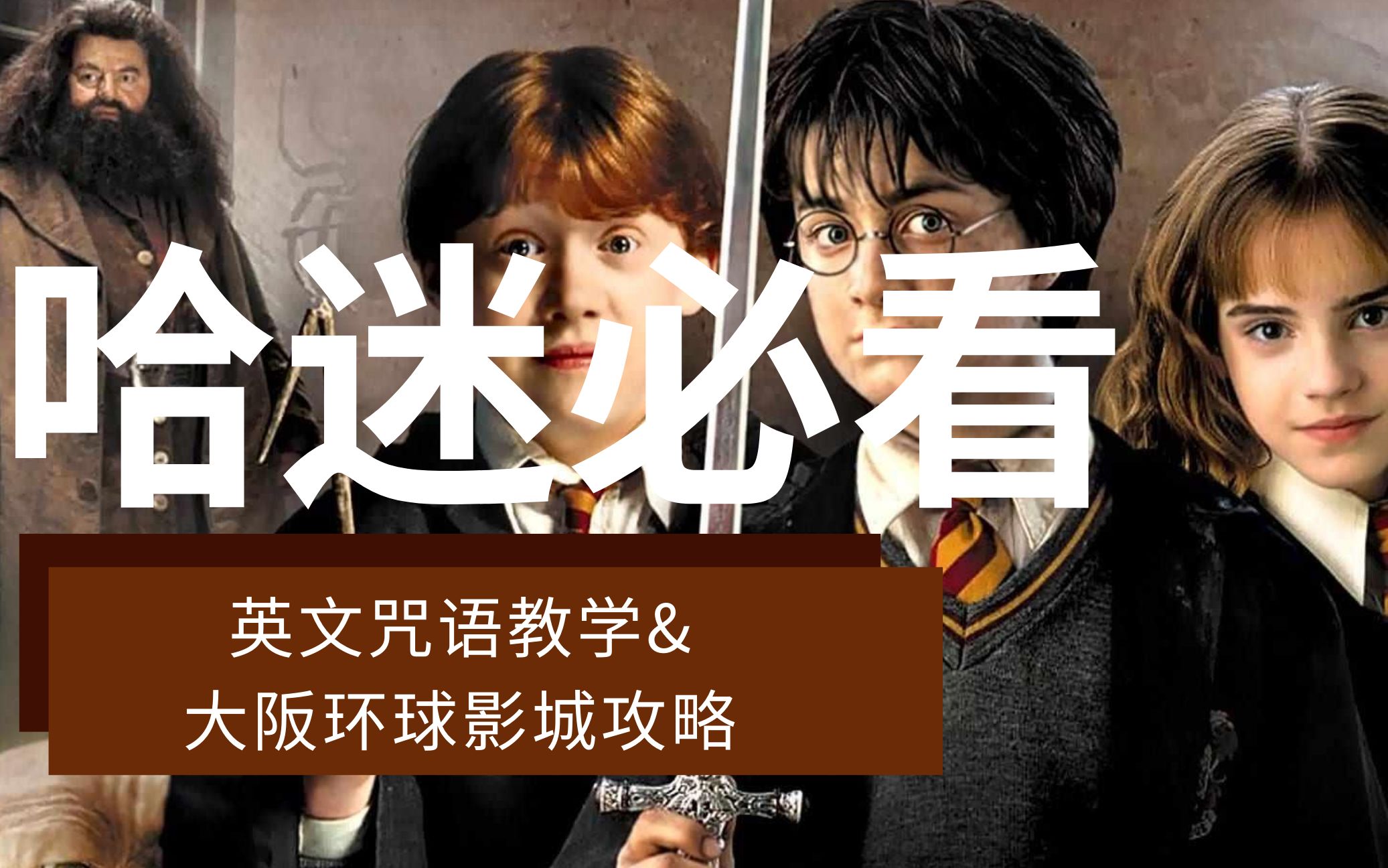 【哈利波特】资深哈迷必备知识|harry potter英文咒语教学|狮院女孩哔哩哔哩bilibili