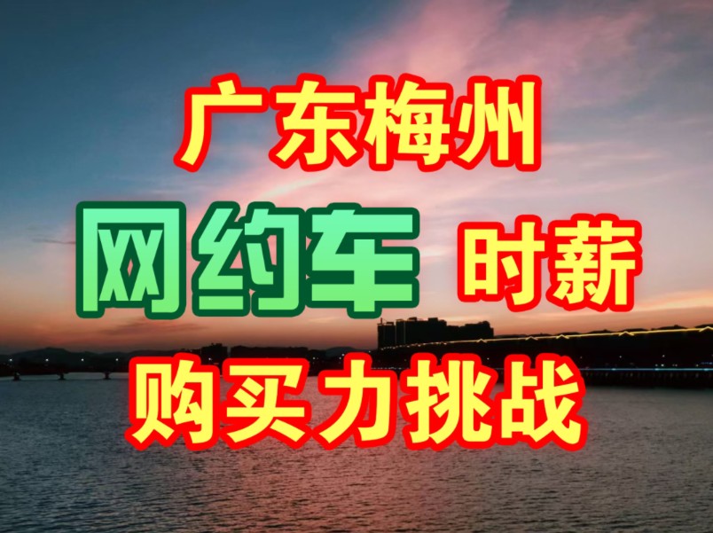 网约车跑一公里赚1元?广东四线城市网约车司机时薪挑战吃烧烤,购买力到底有多强?哔哩哔哩bilibili