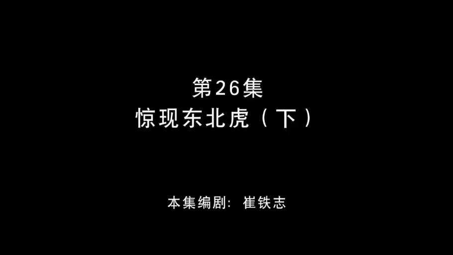 [图]童年回忆之熊出没，秋日对对碰第26集，惊现东北虎（下）