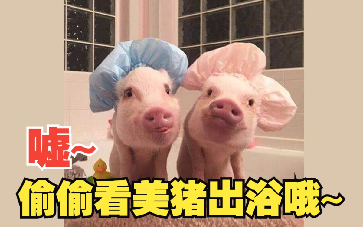 四部门发布关于进一步发挥政府性融资担保体系作用加力支持就业创业的指导意见