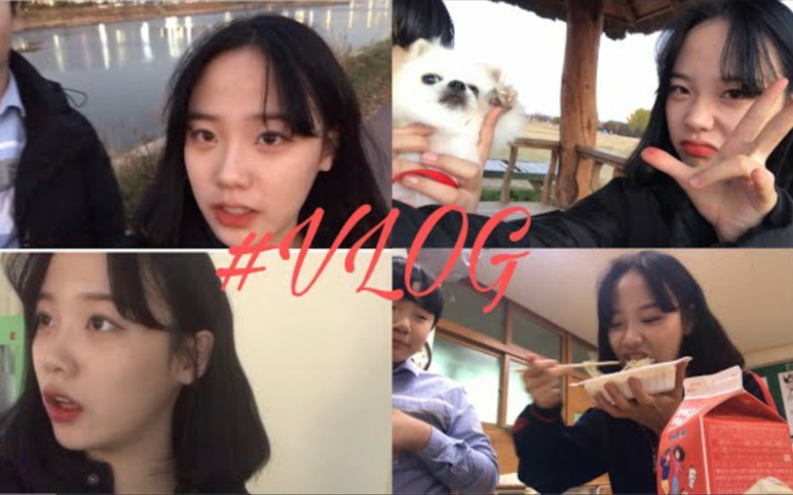 VLOG |04年生韩国漂亮女生hyeyeon的学校日常|朋友|放学后|博美犬|兔子狗狗爱好者哔哩哔哩bilibili