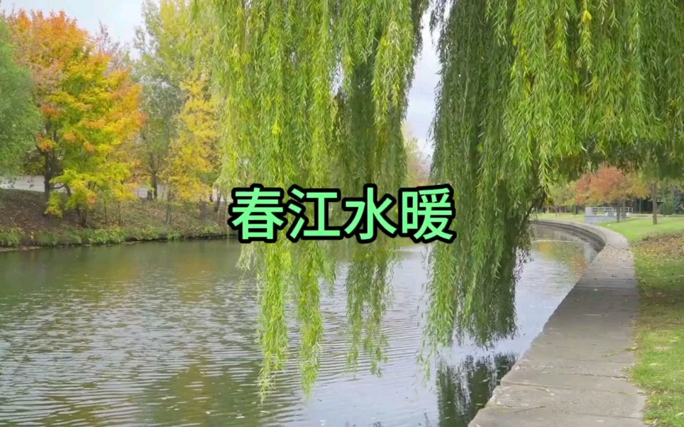 [图]【真的爱读】春江水暖