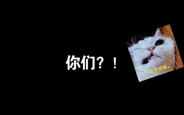 “醋坛子”哔哩哔哩bilibili