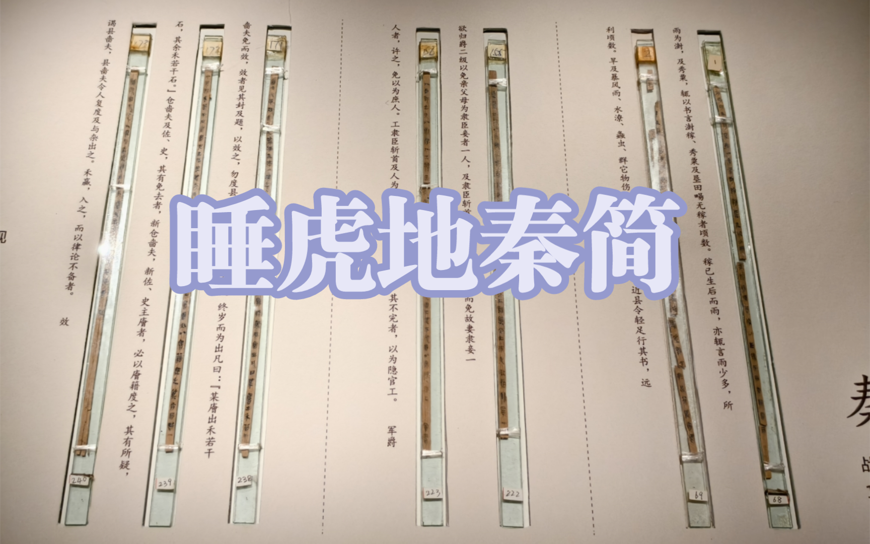 睡虎地位于湖北省云梦县,1975年至1976年有一次考古学惊天动地的大发现.哔哩哔哩bilibili